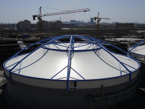 ��ˮ��Ĥ�Y(ji��)��(g��u)�İl(f��)չ �Ƅ�(d��ng)�h(hu��n)�����w�ИI(y��)ǰ�M(j��n)�Ĳ���