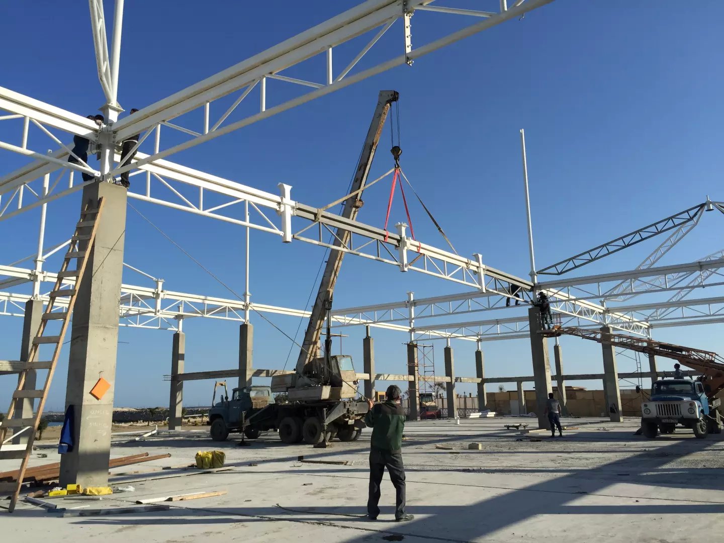 ���ϣ���ᘌ����^Ĥ�Y(ji��)��(g��u)䓲Ĳ�ͬ��׃����r���в�ͬ�ķ��l(w��i)����