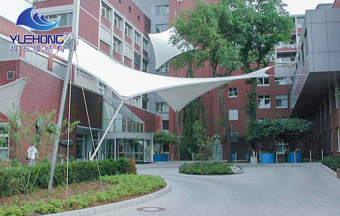 1592296284830852.jpg 1 (4).jpg